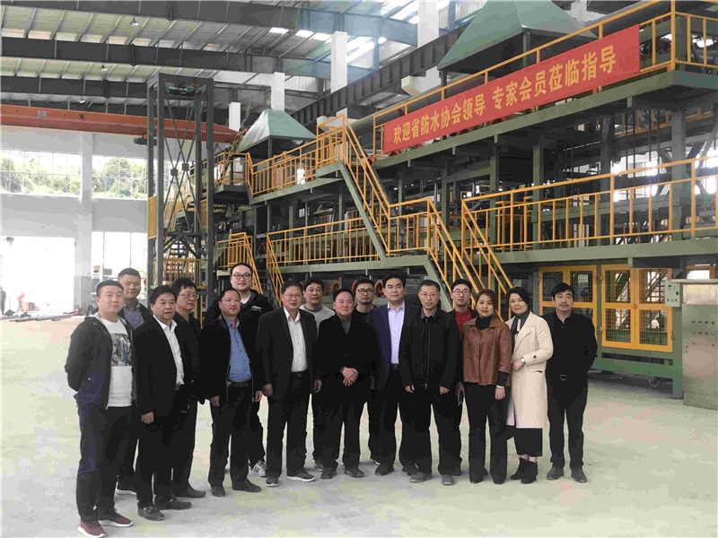 15273112851253133tNR.jpg 12.jpg